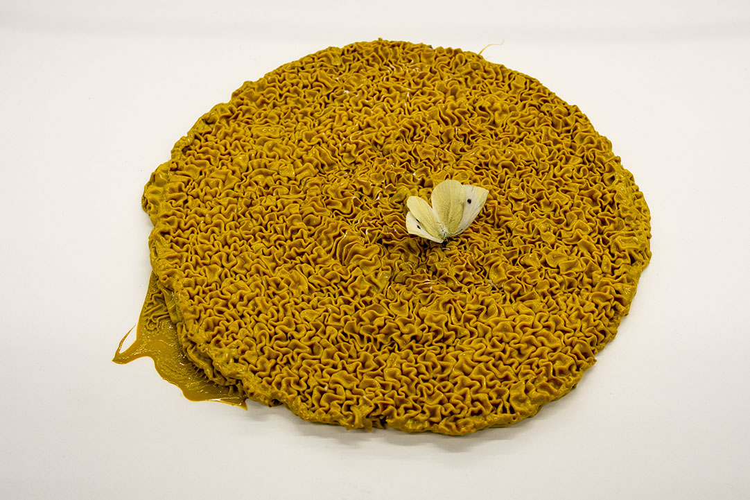 Frank Winkelman - Objekt 1